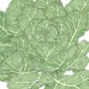 Organic Collard Greens, Champion (1 Oz) -VICTOR Big Department Store organic collard greens champion 1 oz