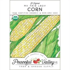 My Fair Lady Corn Seeds (Organic)