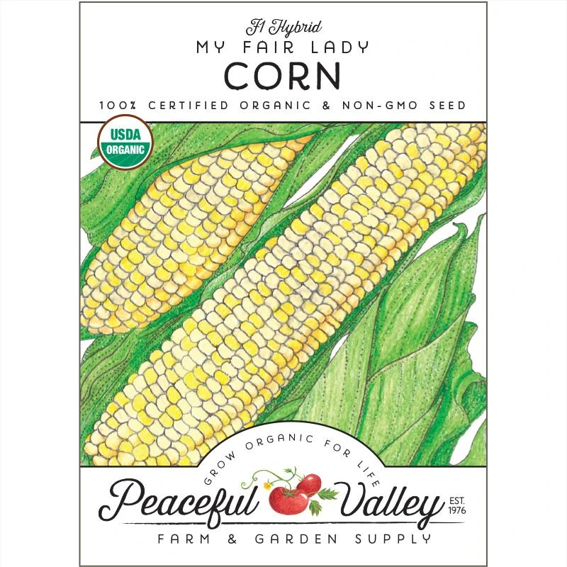 My Fair Lady Corn Seeds (Organic) 3 My Fair Lady Corn Seeds (Organic)