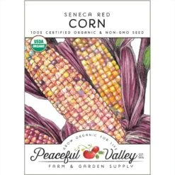Seneca Red Corn Seeds (Organic)