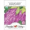 Listada De Gandia Eggplant Seeds (Organic) -VICTOR Big Department Store organic eggplant listada de gandia