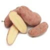Fall-Planted Organic French Fingerling Seed Potatoes (lb) -VICTOR Big Department Store organic french fingerling seed potatoes lb