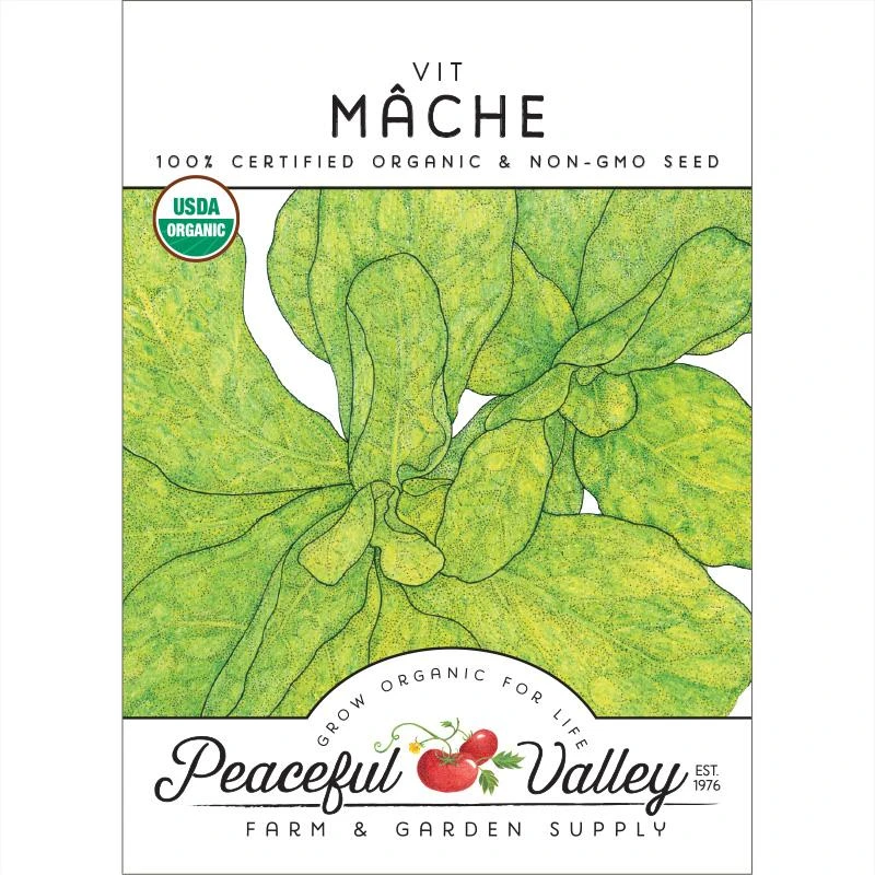 Mache Greens Seeds (Organic) 3 Mache Greens Seeds (Organic)