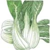 Organic Greens, Pak Choi (1/4 Lb) -VICTOR Big Department Store organic greens pak choi 1 4 lb
