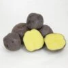 Huckleberry Gold Potato (Organic) -VICTOR Big Department Store organic huckleberry gold seed potatoes lb 1a537c32 a847 4caa b6f9 0b6777edc38e