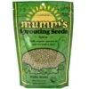 Organic Mung Bean Sprouting Seeds (8.8 Oz) -VICTOR Big Department Store organic mung bean sprouting seeds 8 8 oz