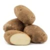 Fall-Planted Organic Norkotah Russet Seed Potatoes (lb) -VICTOR Big Department Store organic norkotah russet seed potatoes lb