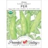 Sugar Daddy Pea Seeds (Organic) -VICTOR Big Department Store organic peas sugar daddy