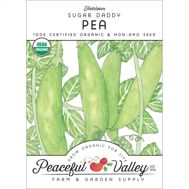 Sugar Daddy Pea Seeds (Organic) 3 Sugar Daddy Pea Seeds (Organic)