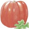 Organic Pumpkin, Big Max (1/4 Lb) 2 Organic Pumpkin, Big Max (1/4 Lb) -VICTOR Big Department Store organic pumpkin big max 1 4 lb