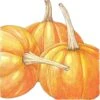 Organic Pumpkin, Small Sugar (1/4 Lb) 2 Organic Pumpkin, Small Sugar (1/4 Lb) -VICTOR Big Department Store organic pumpkin small sugar 1 4 lb