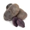 Fall-Planted Organic Purple Majesty Seed Potatoes (lb) -VICTOR Big Department Store organic purple majesty seed potatoes lb
