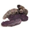 Fall-Planted Organic Purple Peruvian Fingerling Seed Potatoes (lb) -VICTOR Big Department Store organic purple peruvian fingerling seed potatoes lb