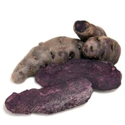 Fall-Planted Organic Purple Peruvian Fingerling Seed Potatoes (lb)