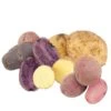 Rainbow Mix Potato (Organic) -VICTOR Big Department Store organic rainbow seed potato mix lb