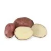 Fall-Planted Organic Red Pontiac Seed Potatoes (lb) -VICTOR Big Department Store organic red pontiac seed potatoes lb
