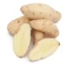 Russian Banana Fingerling Potato (Organic) -VICTOR Big Department Store organic russian banana fingerling seed potatoes lb de2e11fd c8ce 4ba7 abfb fc72978e4cf3