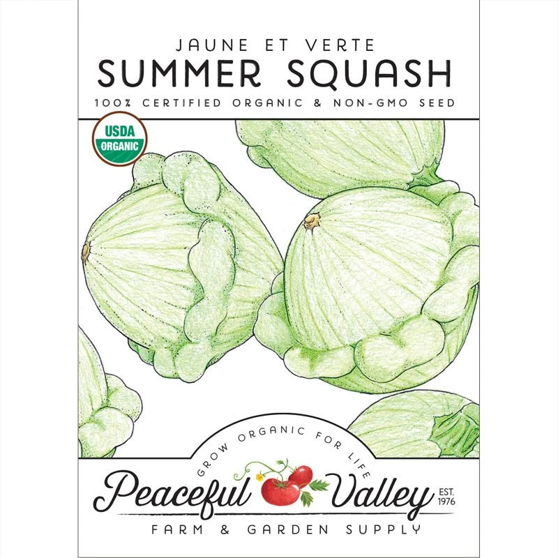 Jaune Et Verte Summer Squash Seeds (Organic) 3 Jaune Et Verte Summer Squash Seeds (Organic)