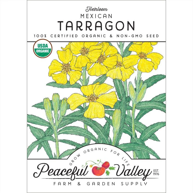 Organic Tarragon, Mexican 3 Organic Tarragon, Mexican