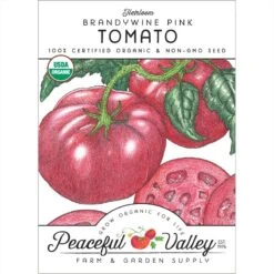 Brandywine Pink Tomato Seeds (Organic)