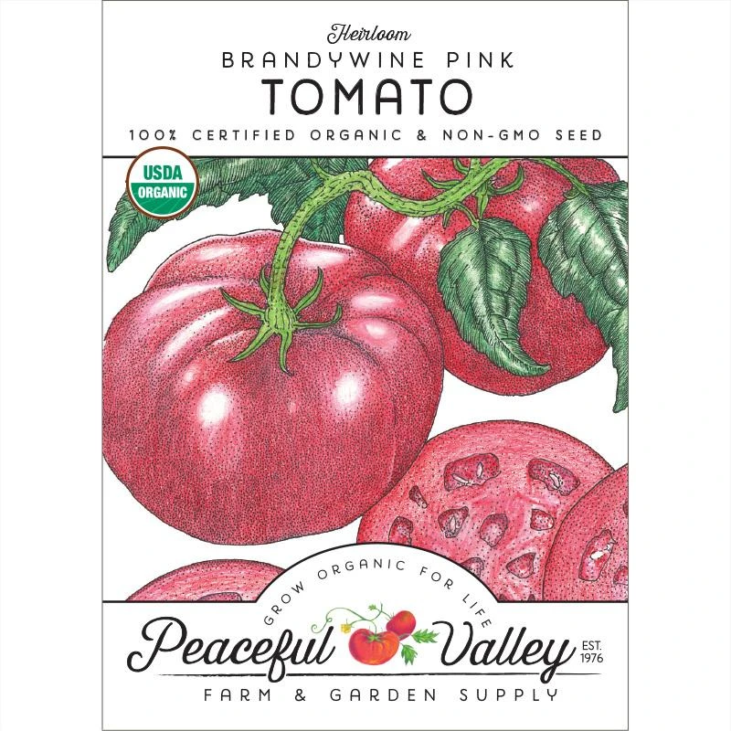 Brandywine Pink Tomato Seeds (Organic) 3 Brandywine Pink Tomato Seeds (Organic)