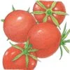 Organic Tomato, Burbank (1 Oz) -VICTOR Big Department Store organic tomato burbank 1 oz