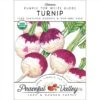 Purple Top White Globe Turnip Seeds (Organic) -VICTOR Big Department Store organic turnip purple top white globe