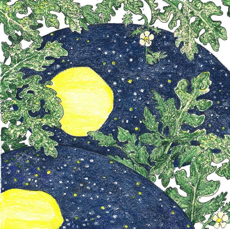 Organic Watermelon, Moon And Stars (1 Oz) 3 Organic Watermelon, Moon And Stars (1 Oz)