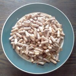 Phoenix Oyster Mushroom Plug Spawn (100 Plugs/pk)