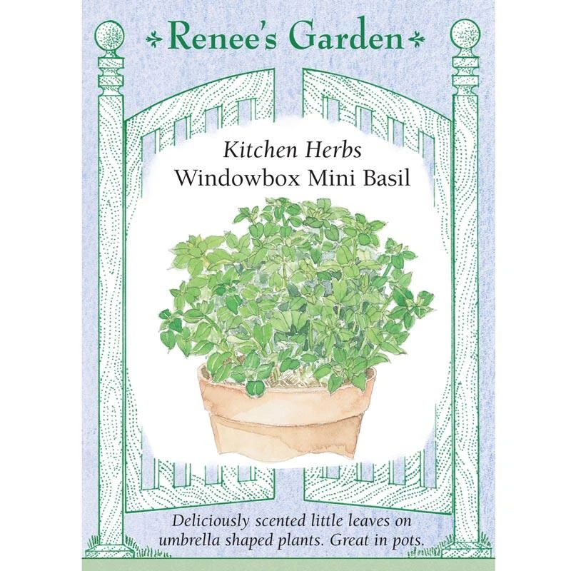 Renee's Garden Basil Mini Windowbox 3 Renee's Garden Basil Mini Windowbox
