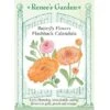 Renee's Garden Calendula Butterfly Flashback (Heirloom) -VICTOR Big Department Store renee s garden calendula butterfly flashback heirloom