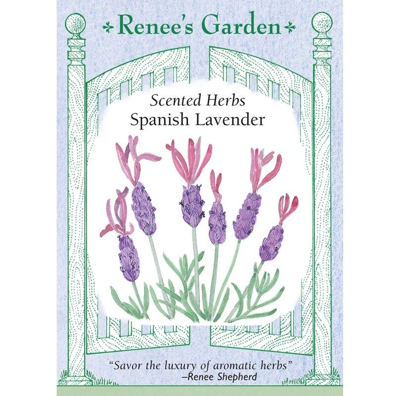 Renee's Garden Spanish Lavender Purple Ribbons 3 Renee's Garden Spanish Lavender Purple Ribbons