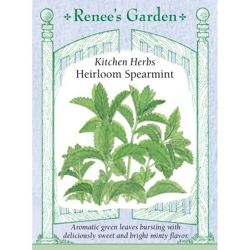 Renee's Garden Spearmint Italian (Heirloom) 3 Renee's Garden Spearmint Italian (Heirloom)