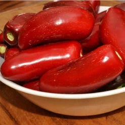 Hot Jalapeo Early Pepper Seeds (Organic) -VICTOR Big Department Store ripe jalapeno pepper web