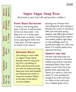 Renee's Garden Pea Snap Super Sugar -VICTOR Big Department Store snv4045 pb