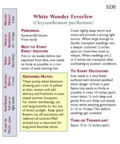 Renee's Garden Feverfew Double White Wonder -VICTOR Big Department Store snv4061 pb