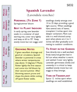 Renee's Garden Spanish Lavender Purple Ribbons 7 Renee's Garden Spanish Lavender Purple Ribbons -VICTOR Big Department Store snv4093 pb 1
