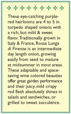 Renee's Garden Onion Rossa Lunga Di Firenze (Heirloom) -VICTOR Big Department Store snv4221 b