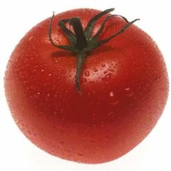 Organic Tomato, Burbank (1 Oz) -VICTOR Big Department Store snv5424 hi 1