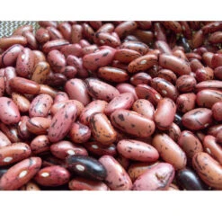 Rosso Di Lucca Bush Bean Seeds (Organic) -VICTOR Big Department Store snv8009 web3