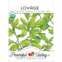 Organic Lovage -VICTOR Big Department Store snv8587 web