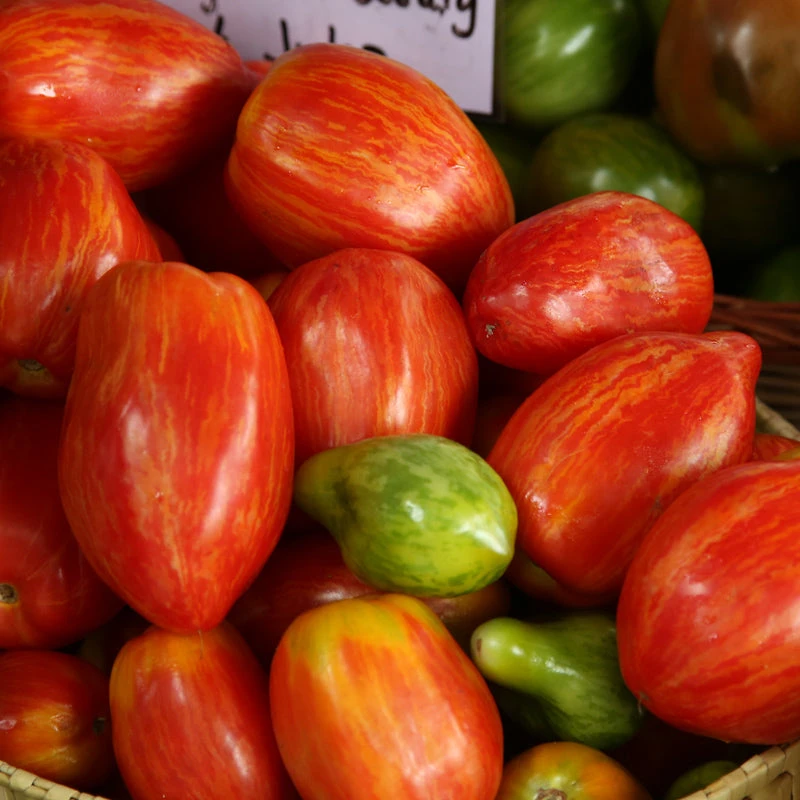 Paste Speckled Roman Tomato Seeds (Organic) 4 Paste Speckled Roman Tomato Seeds (Organic) - Image 2