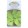 Strictly Medicinal Organic Plantain Broadleaf -VICTOR Big Department Store strictly medicinal organic plantain broadleaf