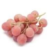 Table Grape Vine - Red Globe -VICTOR Big Department Store table grape vine red globe