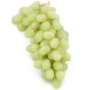 Table Grape Vine - Thompson (Seedless) -VICTOR Big Department Store table grape vine thompson seedless